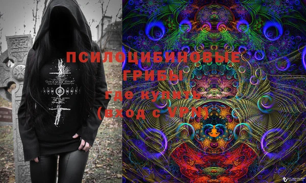 дмт Мегион