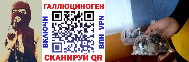 Псилоцибиновые грибы GOLDEN TEACHER  Плёс 